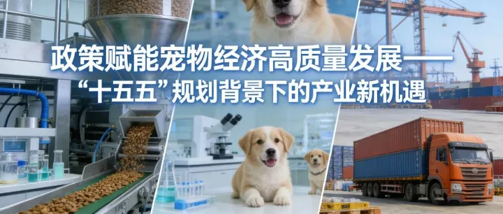 政策赋能它经济：“十五五” 规划下，宠物经济迈向高质量发展新征程