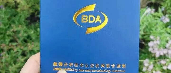 2026年企業(yè)非常認(rèn)可的數(shù)據(jù)分析證書推薦