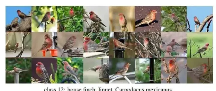 解密iMF：攻克MeanFlow核心挑战，ImageNet 1.72 FID再创新高