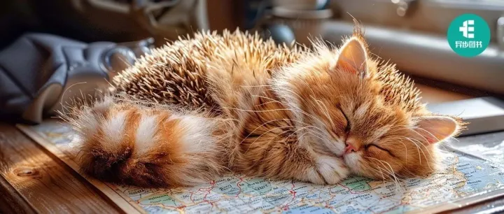 实战AI帮你编程！Vibe Coding：不是程序员也能编程！