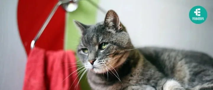 可以不写，但不能不会！《Python编程从新手到高手》：美亚4.6，Python蟒蛇书系列又添新丁！