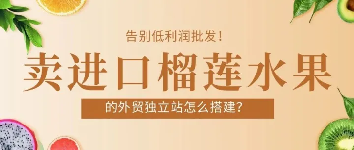 卖进口榴莲水果的外贸独立站如何搭建？这家越南榴莲商用独立站拿下了中东高端超市订单！