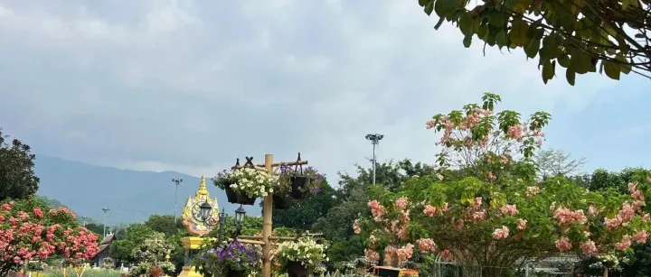 外贸赚钱的一些产品