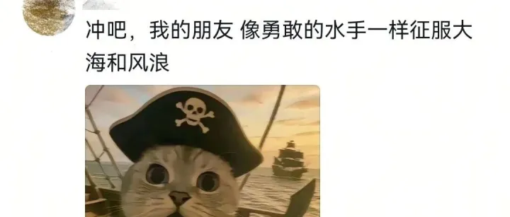 堂吉诃德式的冲锋火了，这个梗是什么意思？