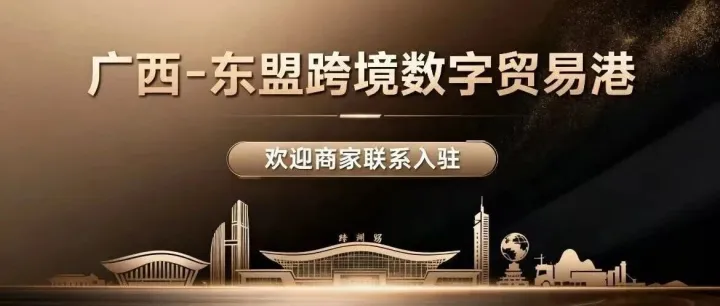 精准踩中东南亚需求：中国洗护品牌的爆品打造与市场扩张策略！