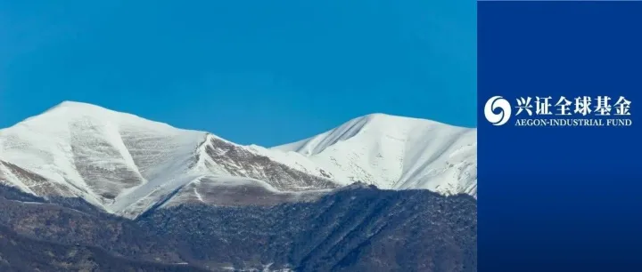 田大伟：种下ETF“第一颗种子”，探索被动投资差异化之路