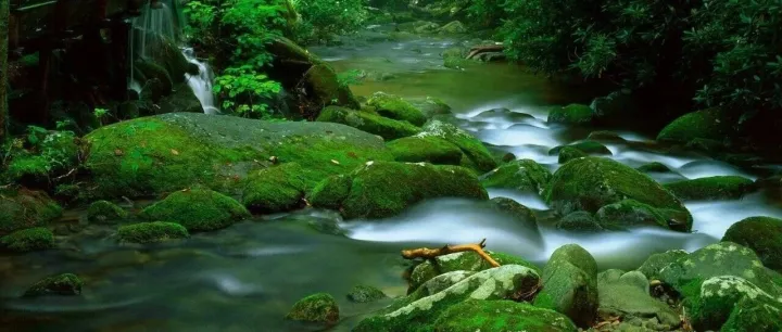 亚马逊(<em>AMAZON</em>)过去40年财务报表分析