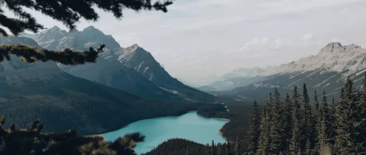 让 AI 记住我家狗叫「十六」，原来只需要 5 分钟