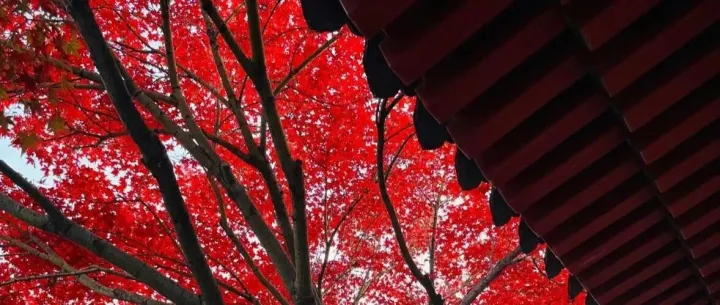 股票研究报告生成-基于LLM的多智能体框架FinRpt-Gen数据构建、方法框架