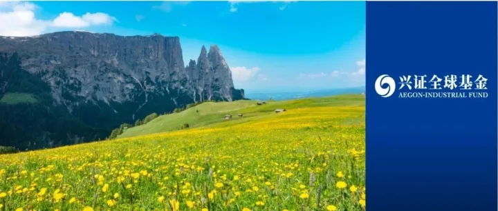 芯片博弈：钱往何处投？