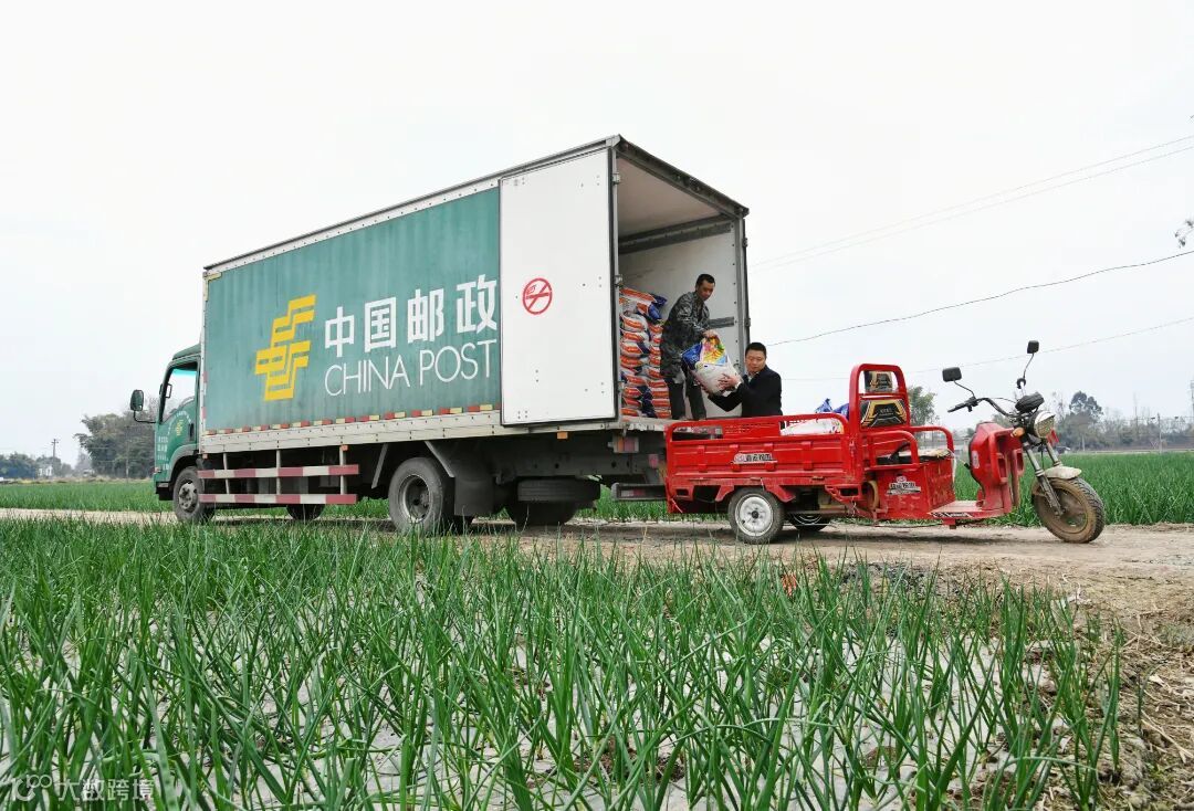成都大邑邮政分公司为洋葱种植户送春肥35吨。.jpg
