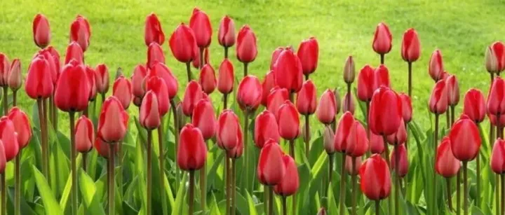 诗词 | 五千年来最高水平的40首诗词，第一是……