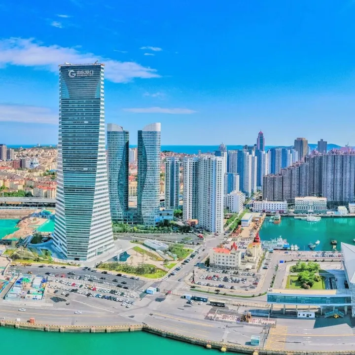 枣庄市、山东航空集团、中国能源研究会可再生能源专委会客人到访山东港口