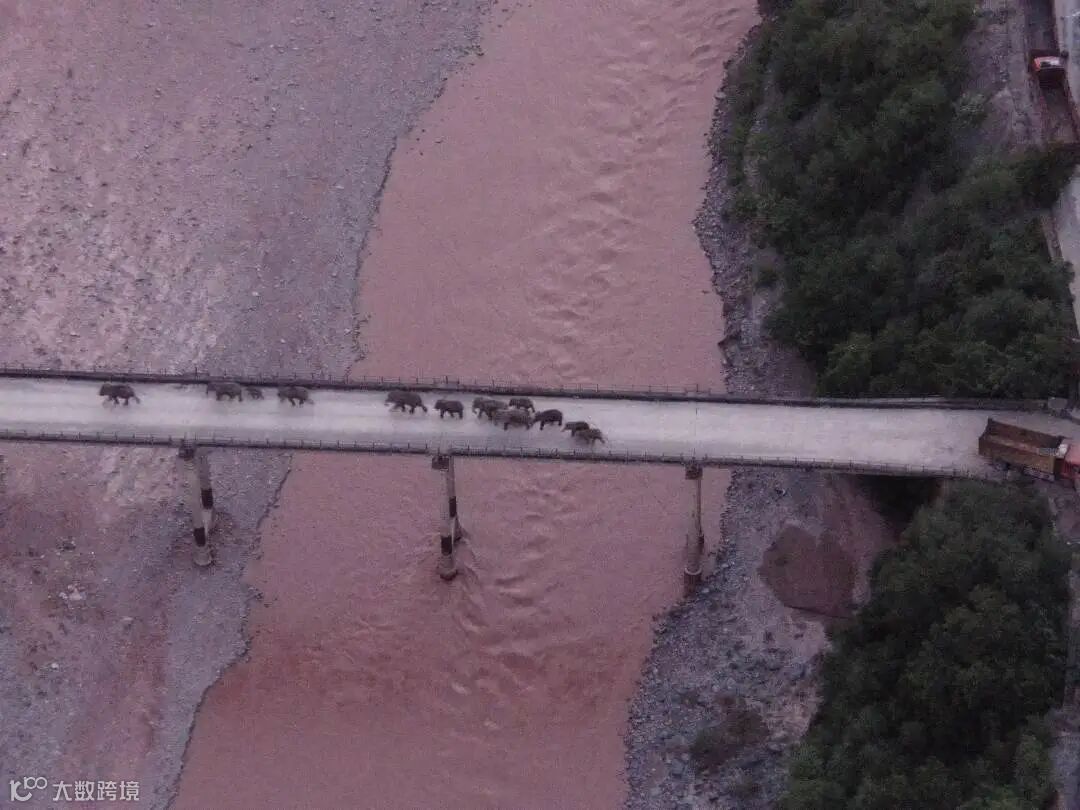 1628437722516378.jpg?x-oss-process=style/w10