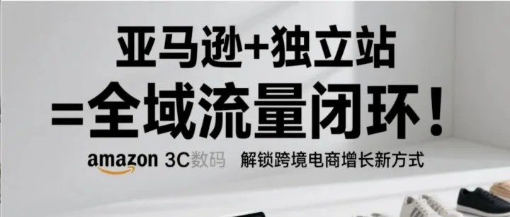 亚马逊+独立站=全域流量闭环！解锁跨境电商增长新方式
