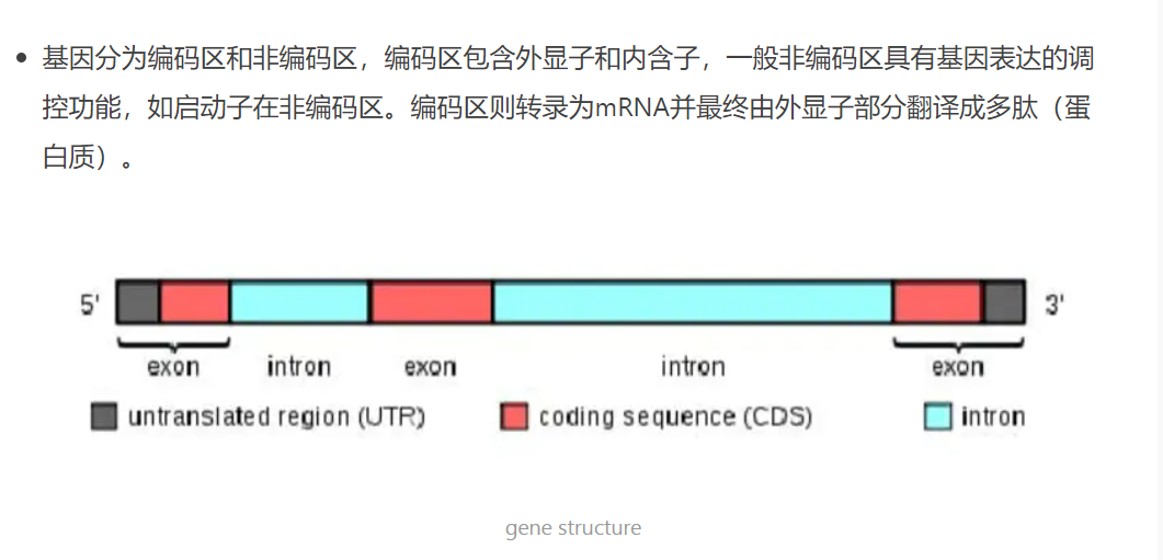 python操作gff格式注释文件的简单小例子- 大数跨境