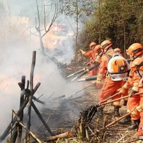 广西举行2025年森林防灭火应急处置演练