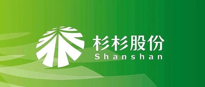 湖南盐业集团跨界重整杉杉，5000万保证金叩响新能源大门
