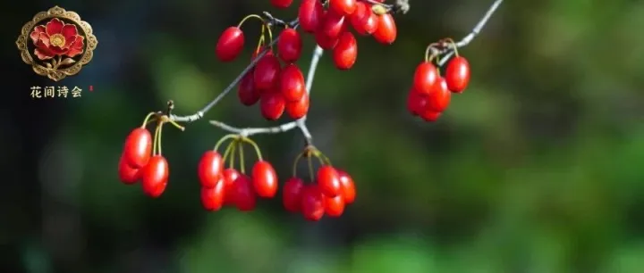 <em>你</em><em>的</em><em>名字</em>里，藏着最美的诗词！136句诗词，<em>你</em><em>的</em><em>名字</em>是哪一句？