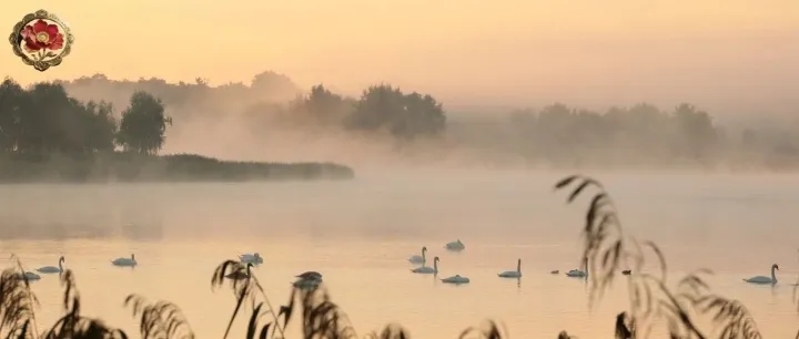 五千年来最美的10首古诗词，读过方知情深！