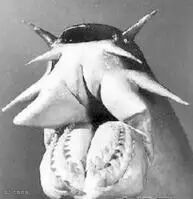 点击查看源网页