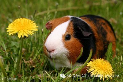 点击查看源网页