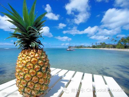 点击查看源网页