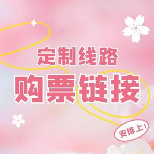 定制线路购票<em>链接</em>