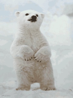 点击查看源网页