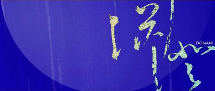 DOMANI <em>东</em><em>仓</em> | 渊澄取映