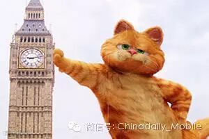 点击查看源网页