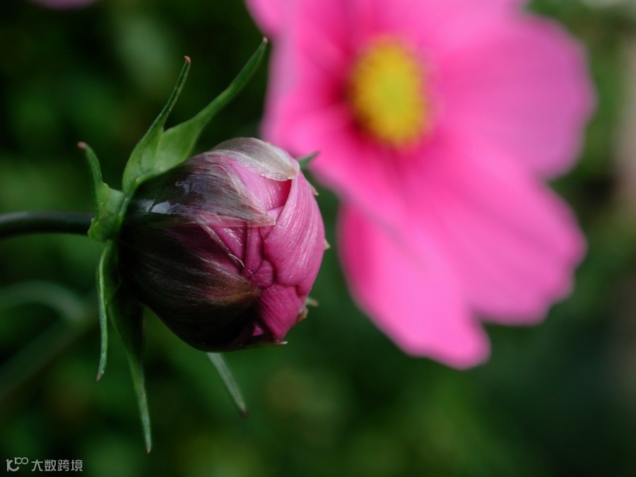 点击查看源网页