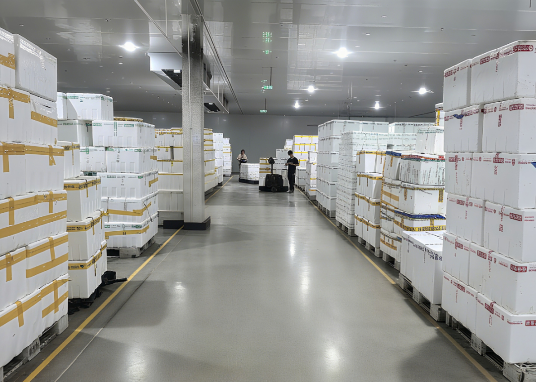 照片优化 (14).png