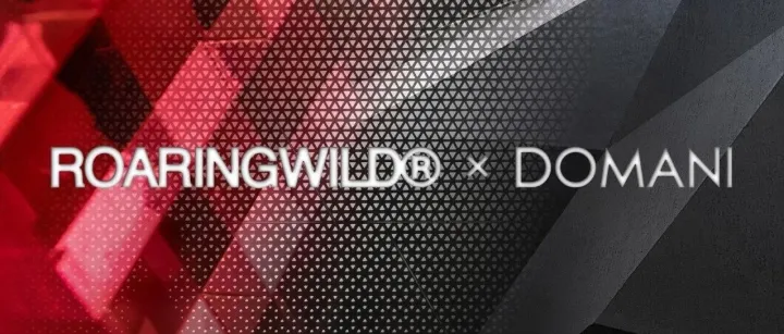 DOMANI东仓 × ROARINGWILD · 七年