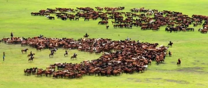 内蒙古｜天地壮阔，远不止草原！8个5A级景区与1个国家级度假区诠释自然奇迹