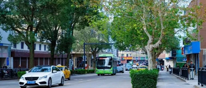 “晴暖体验卡”即将到期！大风和降温已在路上→