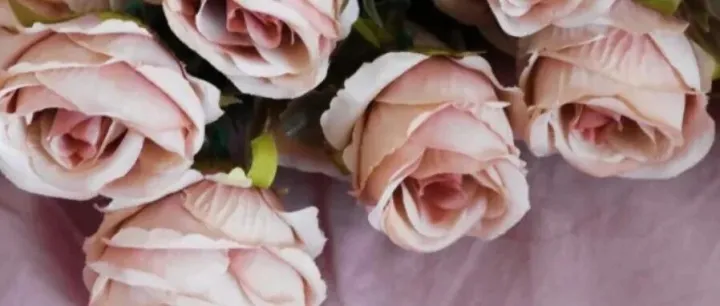 早读 | 念一处明媚，遥问冬安！