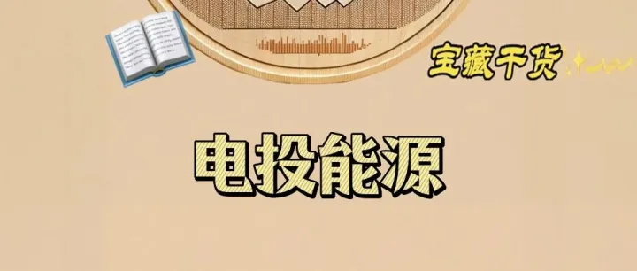 <em>电</em><em>投</em>能源企业分析