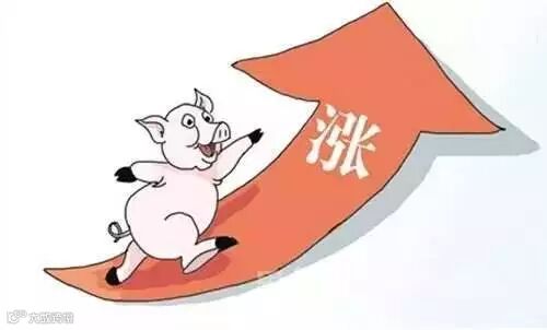 点击查看源网页