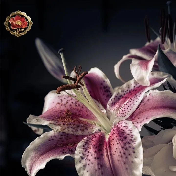 睡觉，才是最好的养生