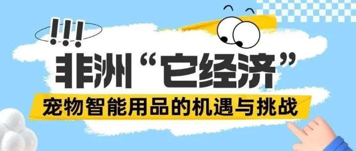 非洲“它经济”新蓝海：宠物智能用品的机遇与挑战
