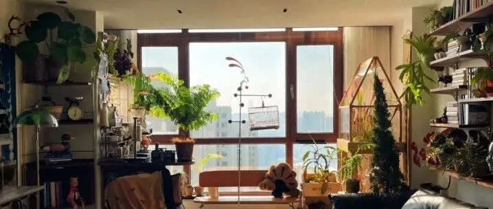 住进“森林”里：打造会呼吸的家