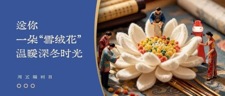 🧧周五福利日 | 送你一朵「雪绒花」，温暖深冬时光
