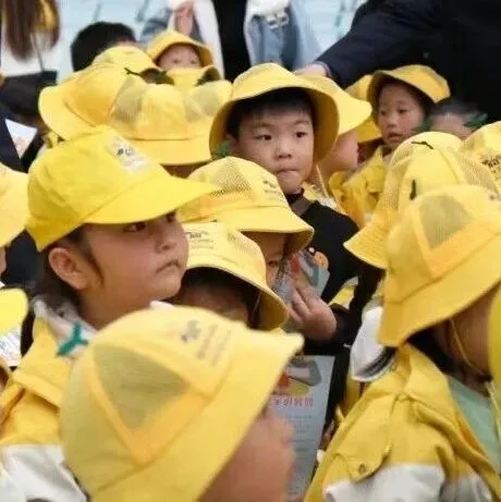 200只“小黄鸭”抵达仪陇站，网友：好萌好可爱