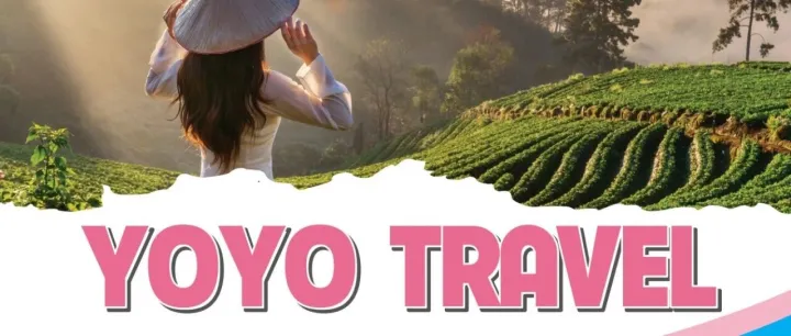 专业双语，细致高效——YOYO TRAVEL 为您打造非凡越南之旅
