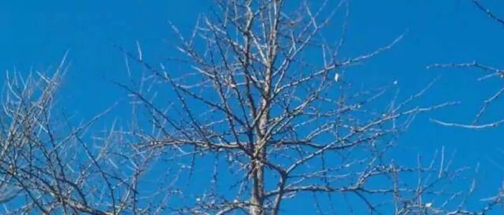 11月9日周报——不惧<em>外围</em>下跌，A股维持上涨