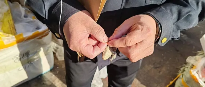 1110只野生林蛙得到解救和放归 | 行动播报