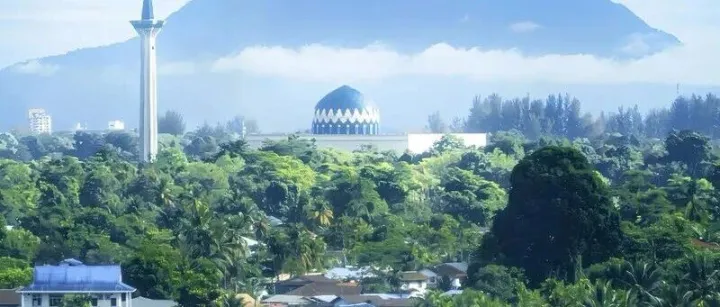 新开免签直飞！以“猫”为名的城市，坐拥山海与雨林，藏着一座猫咪博物馆！