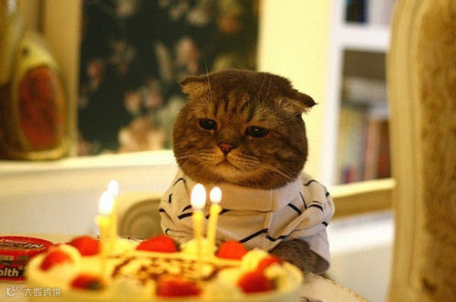 点击查看源网页