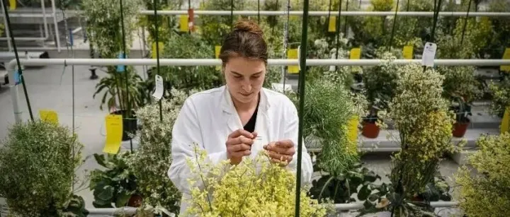 地小产多还环保？荷兰农业凭什么震撼世界？